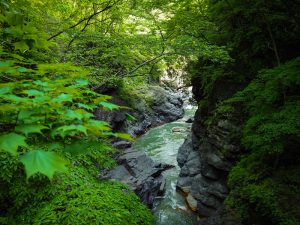 ジオラマの作り方 簡単なのでやってみよ 水の表現編 ライフ雑学